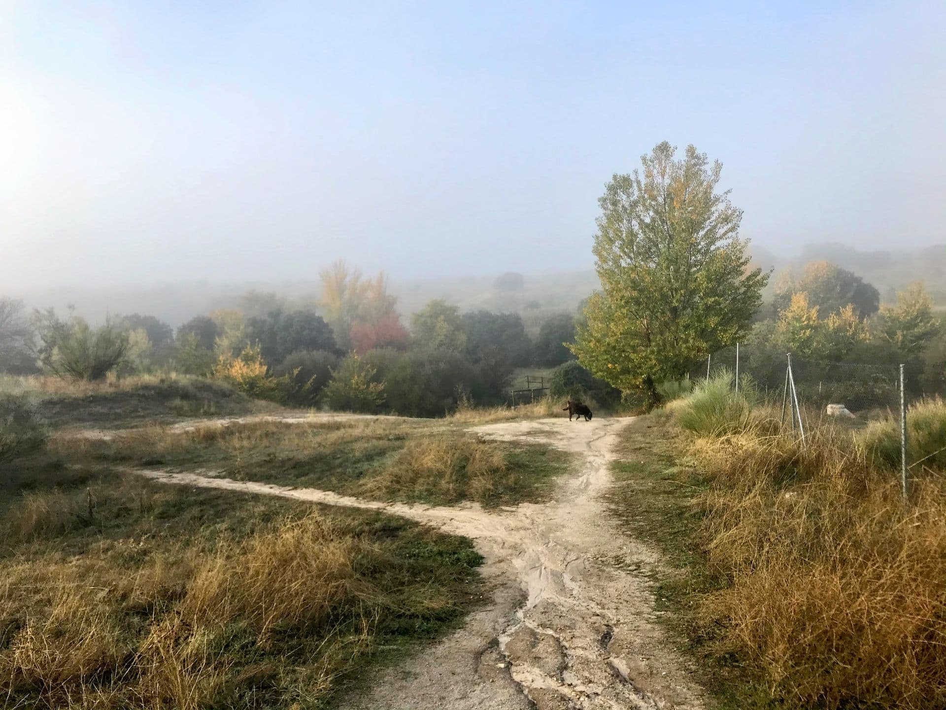 Paul Nunesdea header