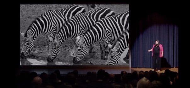 Lori Sussle Bonanni header